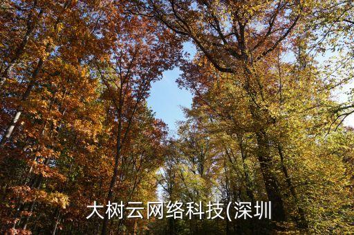  大樹云網絡科技(深圳