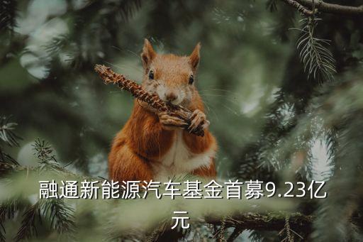 江蘇融通投資服務有限公司,江蘇創(chuàng)業(yè)者投資服務集團有限公司