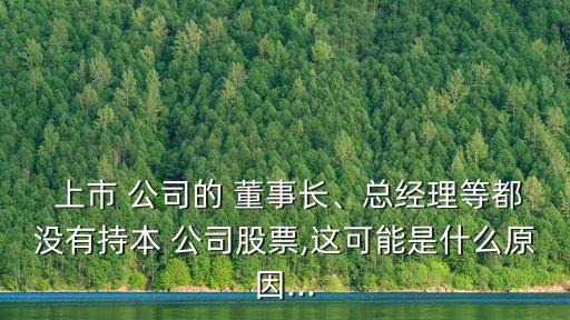  上市 公司的 董事長、總經(jīng)理等都沒有持本 公司股票,這可能是什么原因...