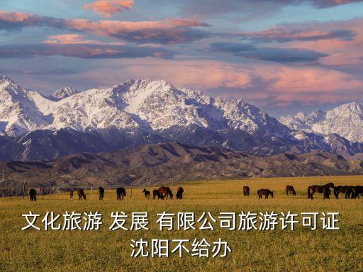 文化旅游 發(fā)展 有限公司旅游許可證沈陽(yáng)不給辦