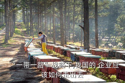 “一帶一路”戰(zhàn)略下,我國(guó)的 企業(yè)應(yīng)該如何走出去