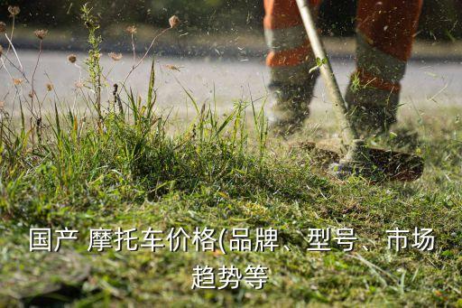 國產(chǎn) 摩托車價(jià)格(品牌、型號(hào)、市場(chǎng)趨勢(shì)等