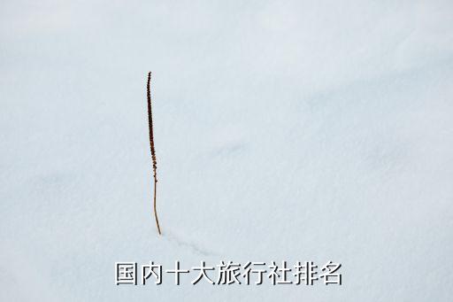 國內十大旅行社排名