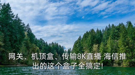 網(wǎng)關、機頂盒、傳輸8K直播 海信推出的這個盒子全搞定!