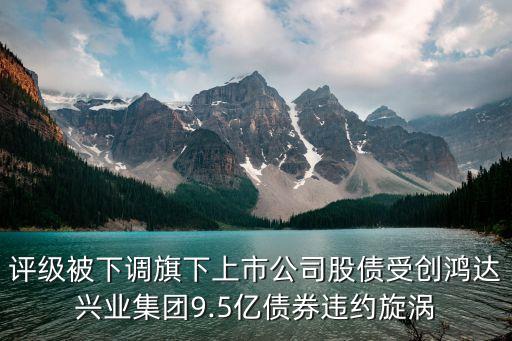 評級被下調旗下上市公司股債受創(chuàng)鴻達興業(yè)集團9.5億債券違約旋渦