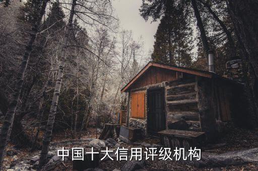 中國十大信用評級機構