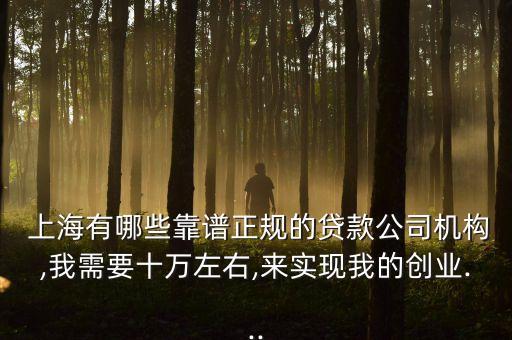  上海有哪些靠譜正規(guī)的貸款公司機(jī)構(gòu),我需要十萬左右,來實現(xiàn)我的創(chuàng)業(yè)...