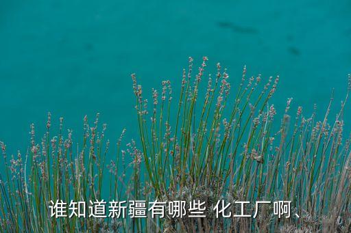 誰(shuí)知道新疆有哪些 化工廠啊、