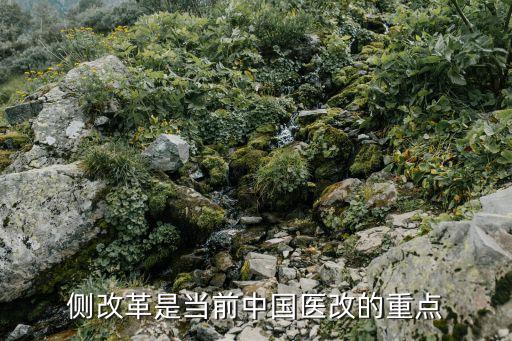 供給側(cè)改革是當(dāng)前中國醫(yī)改的重點