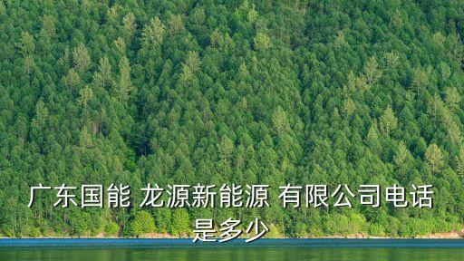 廣東國能 龍?jiān)葱履茉?有限公司電話是多少