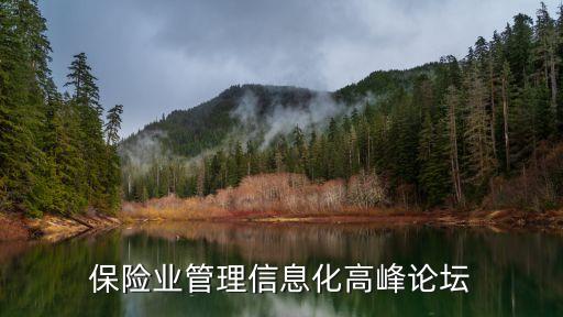 第八屆中國國際保險峰會,依據第八屆中國國際