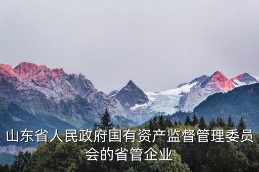 山東省人民政府國有資產(chǎn)監(jiān)督管理委員會(huì)的省管企業(yè)