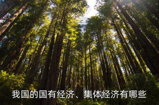 我國(guó)的國(guó)有經(jīng)濟(jì)、集體經(jīng)濟(jì)有哪些