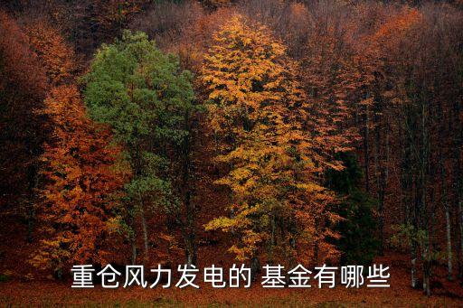 重倉風力發(fā)電的 基金有哪些