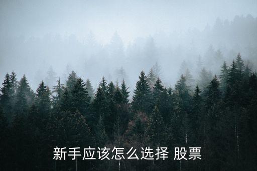 新手應該怎么選擇 股票
