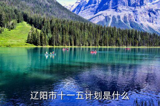遼陽市十一五計劃是什么