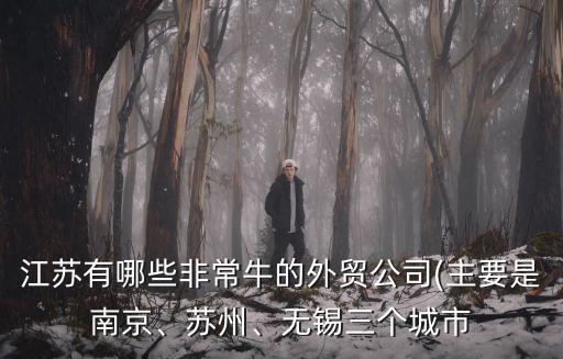 江蘇有哪些非常牛的外貿(mào)公司(主要是南京、蘇州、無錫三個城市