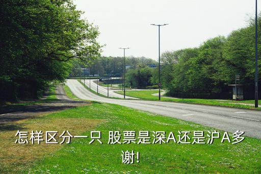 怎樣區(qū)分一只 股票是深A還是滬A多謝!