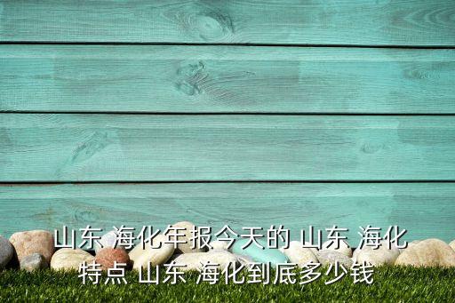 山東?；煞萦邢薰句逅貜S,海王溴素集團(tuán)股份有限公司