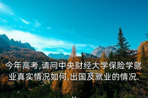 今年高考,請問中央財經(jīng)大學(xué)保險學(xué)就業(yè)真實情況如何,出國及就業(yè)的情況...