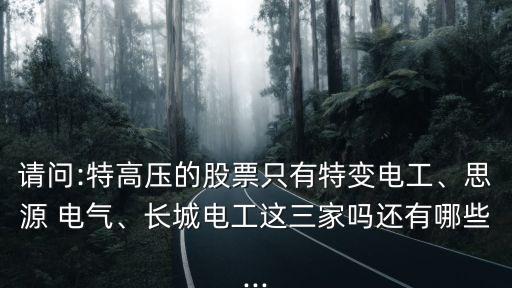 請問:特高壓的股票只有特變電工、思源 電氣、長城電工這三家嗎還有哪些...