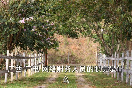 廣西 廣電 網(wǎng)絡財務人員的職責是什么