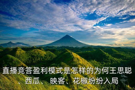 直播競(jìng)答盈利模式是怎樣的為何王思聰、西瓜、 映客、花椒紛紛入局