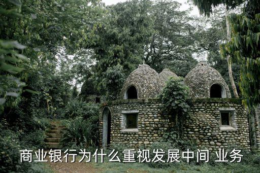 2013商業(yè)銀行中間業(yè)務收入占比,商業(yè)銀行零售中間業(yè)務收入產(chǎn)品的構(gòu)成