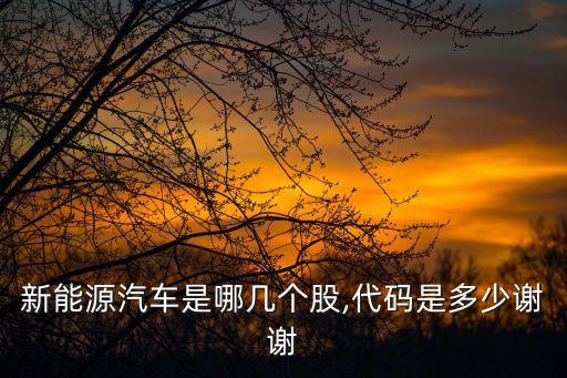 新能源汽車(chē)是哪幾個(gè)股,代碼是多少謝謝