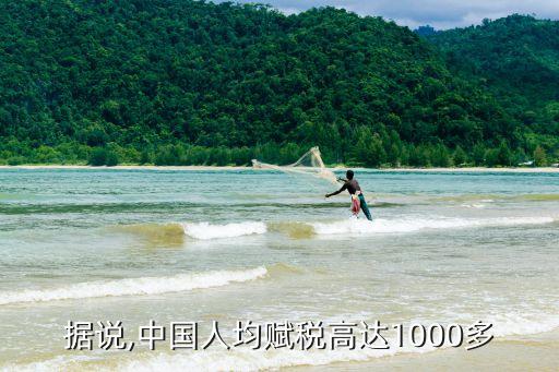 據(jù)說,中國人均賦稅高達(dá)1000多