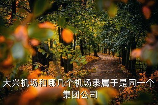 大興機(jī)場和哪幾個(gè)機(jī)場隸屬于是同一個(gè) 集團(tuán)公司