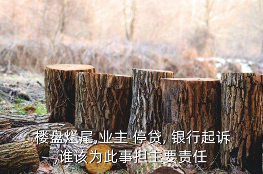  樓盤(pán)爛尾,業(yè)主 停貸, 銀行起訴,誰(shuí)該為此事?lián)饕?zé)任