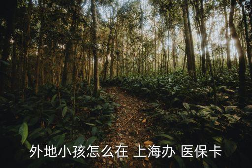 外地小孩怎么在 上海辦 醫(yī)?？? class=