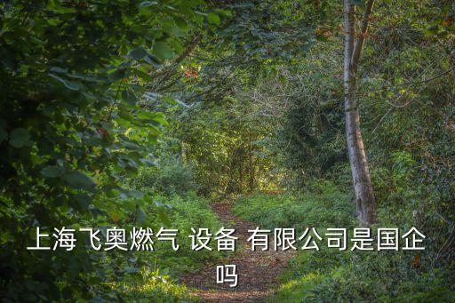 上海飛奧燃氣 設(shè)備 有限公司是國企嗎