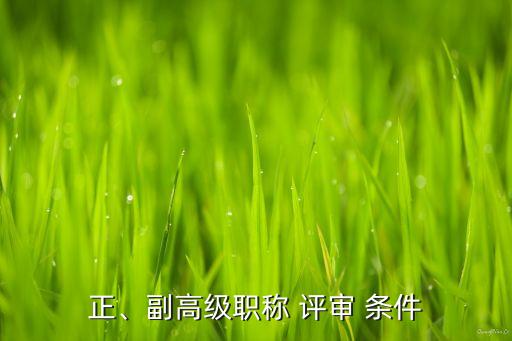 正、副高級(jí)職稱 評(píng)審 條件