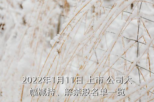 2022年1月11日 上市 公司大幅減持、解禁股名單一覽