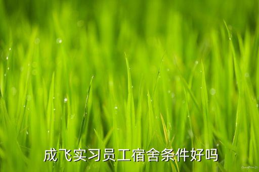  成飛實習員工宿舍條件好嗎