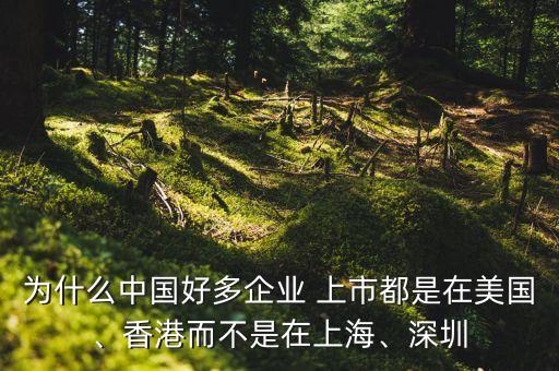 為什么中國好多企業(yè) 上市都是在美國、香港而不是在上海、深圳