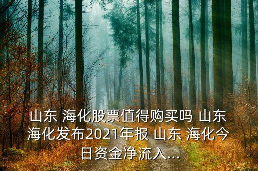  山東 ?；善敝档觅徺I嗎 山東 海化發(fā)布2021年報 山東 ?；袢召Y金凈流入...