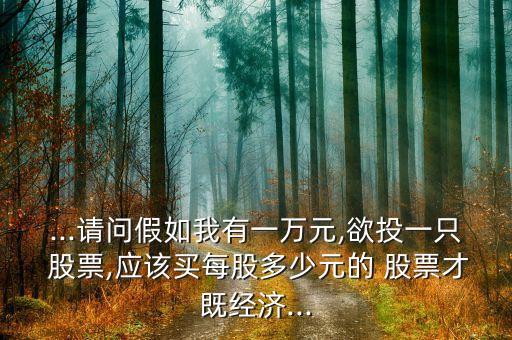 ...請(qǐng)問(wèn)假如我有一萬(wàn)元,欲投一只 股票,應(yīng)該買(mǎi)每股多少元的 股票才既經(jīng)濟(jì)...