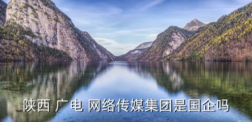 陜西 廣電 網(wǎng)絡傳媒集團是國企嗎