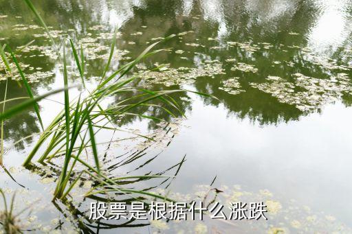  股票是根據什么漲跌