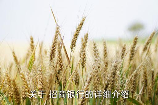 真融寶招商銀行的關系