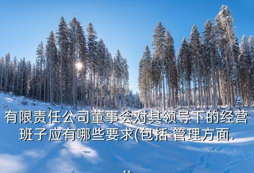 有限責(zé)任公司董事會(huì)對其領(lǐng)導(dǎo)下的經(jīng)營班子應(yīng)有哪些要求(包括 管理方面...