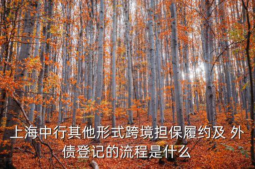 上海中行其他形式跨境擔保履約及 外債登記的流程是什么