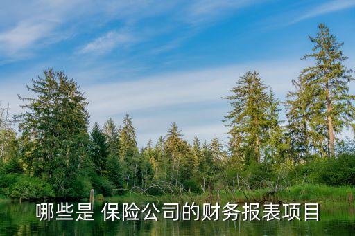 哪些是 保險公司的財務報表項目