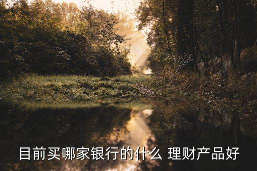 目前買哪家銀行的什么 理財產(chǎn)品好