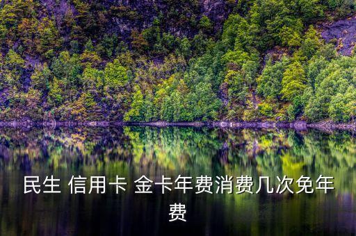民生 信用卡 金卡年費(fèi)消費(fèi)幾次免年費(fèi)