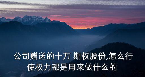 公司贈送的十萬 期權股份,怎么行使權力都是用來做什么的