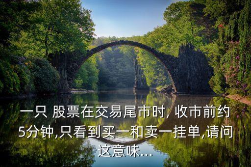 一只 股票在交易尾市時(shí), 收市前約5分鐘,只看到買(mǎi)一和賣(mài)一掛單,請(qǐng)問(wèn)這意味...